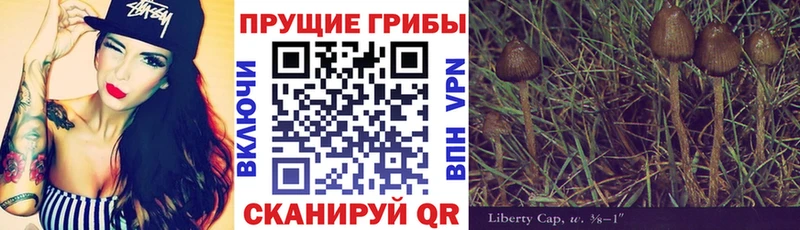 Галлюциногенные грибы Psilocybe  ОМГ ОМГ зеркало  Щёкино  даркнет сайт 